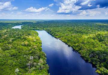 Wild at Heart- Exploring the Amazon's Less Traveled Paths