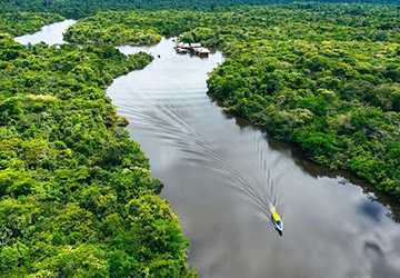 Wild at Heart- Exploring the Amazon's Less Traveled Paths