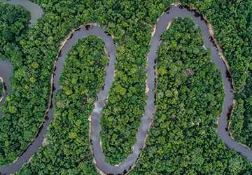 Wild at Heart- Exploring the Amazon's Less Traveled Paths