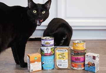 The Best Foods to Help Manage Your Cat’s Weight